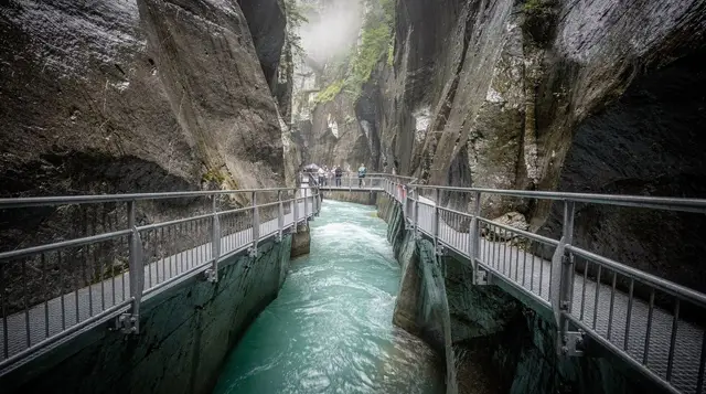 Aare Gorge and Reichenbach Falls: the walk, both entrances, and the funicular
